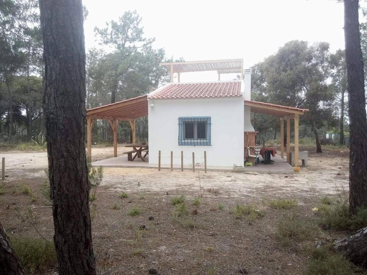 Casa Do Pinheiro - Parque Natural Da Ria Formosa. Tavira Exteriör bild